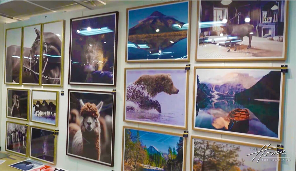 Image: wall of framed fine art prints and photographs, llama, bear, mountain